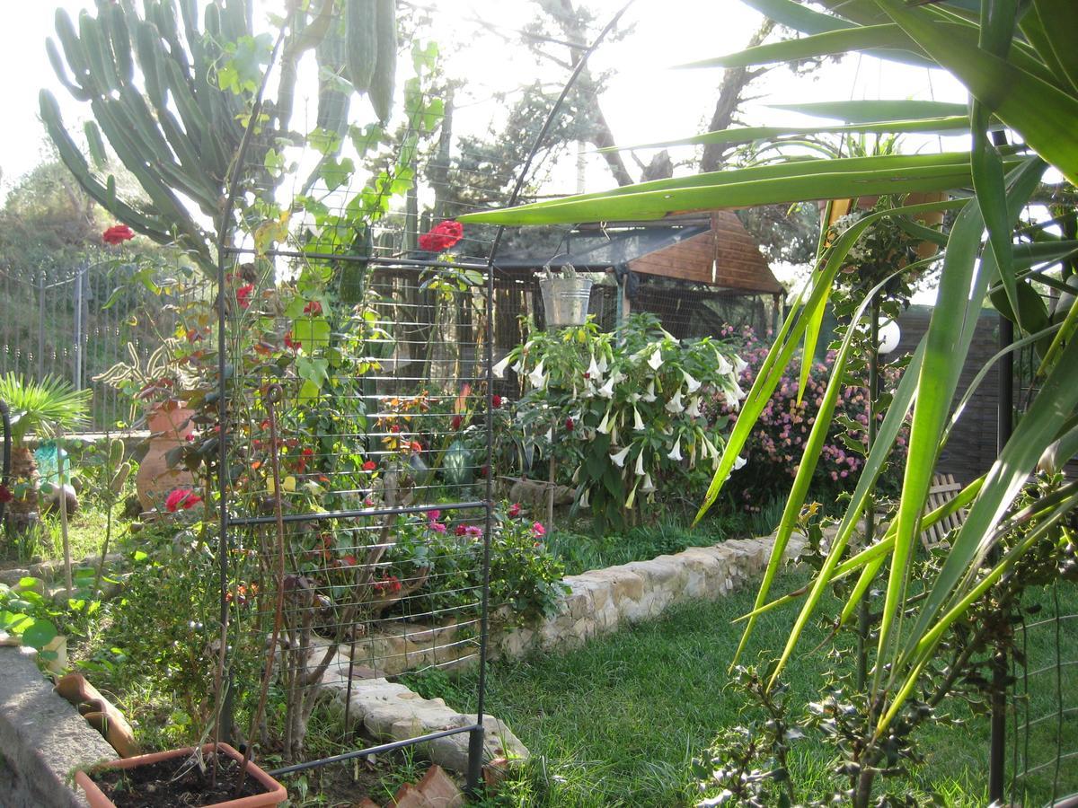 Oasi Del Lago Regalbuto ภายนอก รูปภาพ