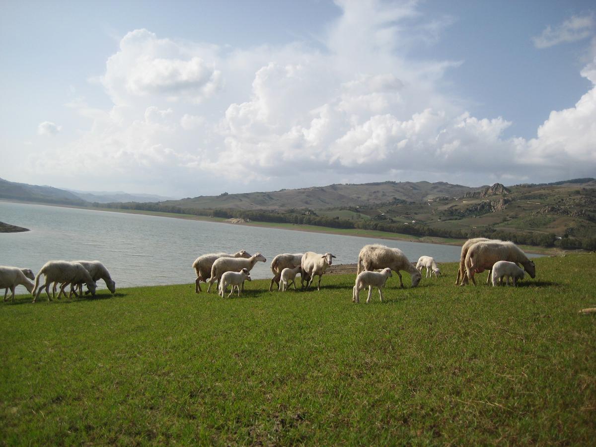 Oasi Del Lago Regalbuto ภายนอก รูปภาพ